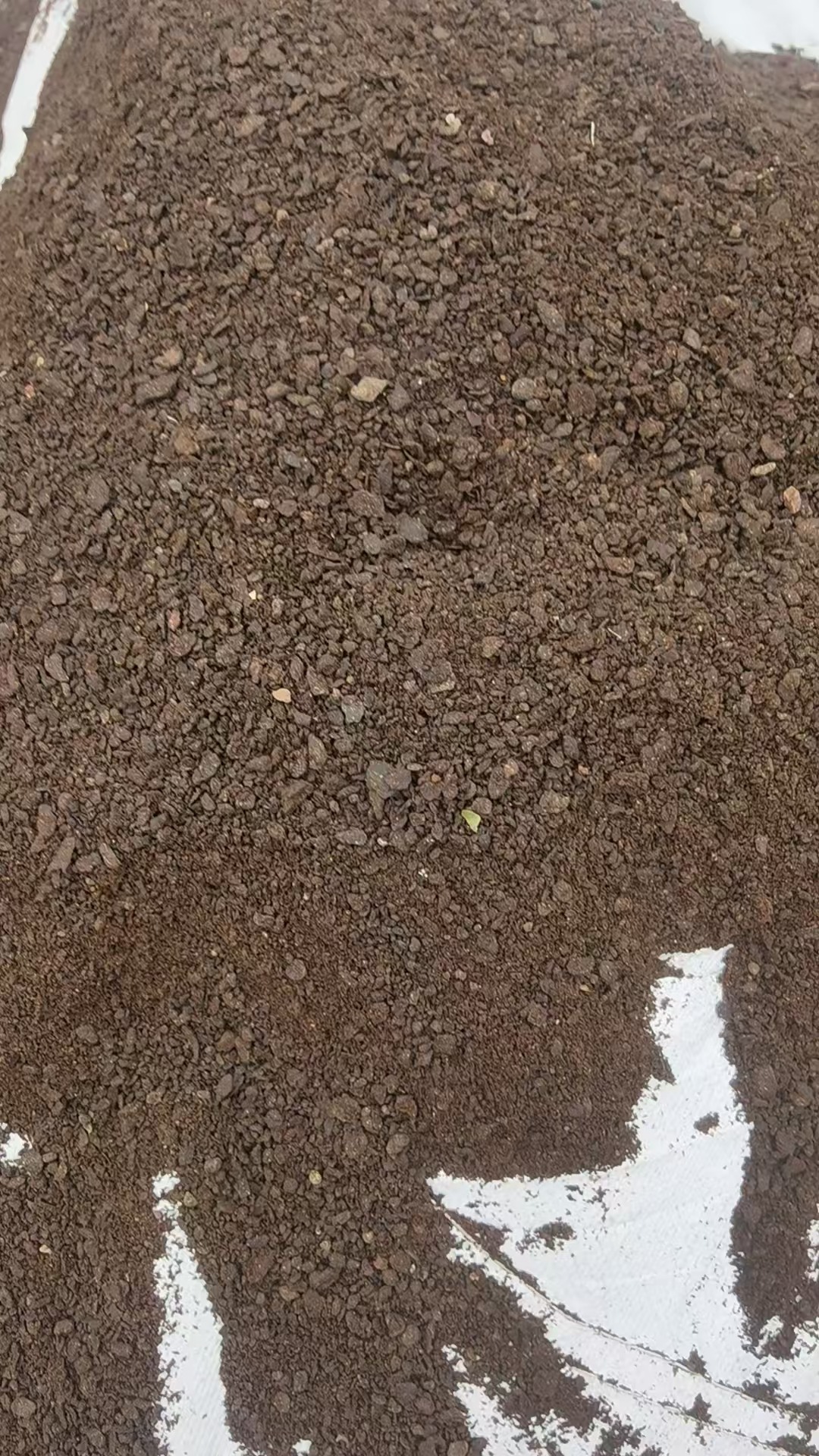 阿维菌素药渣生产原料实景