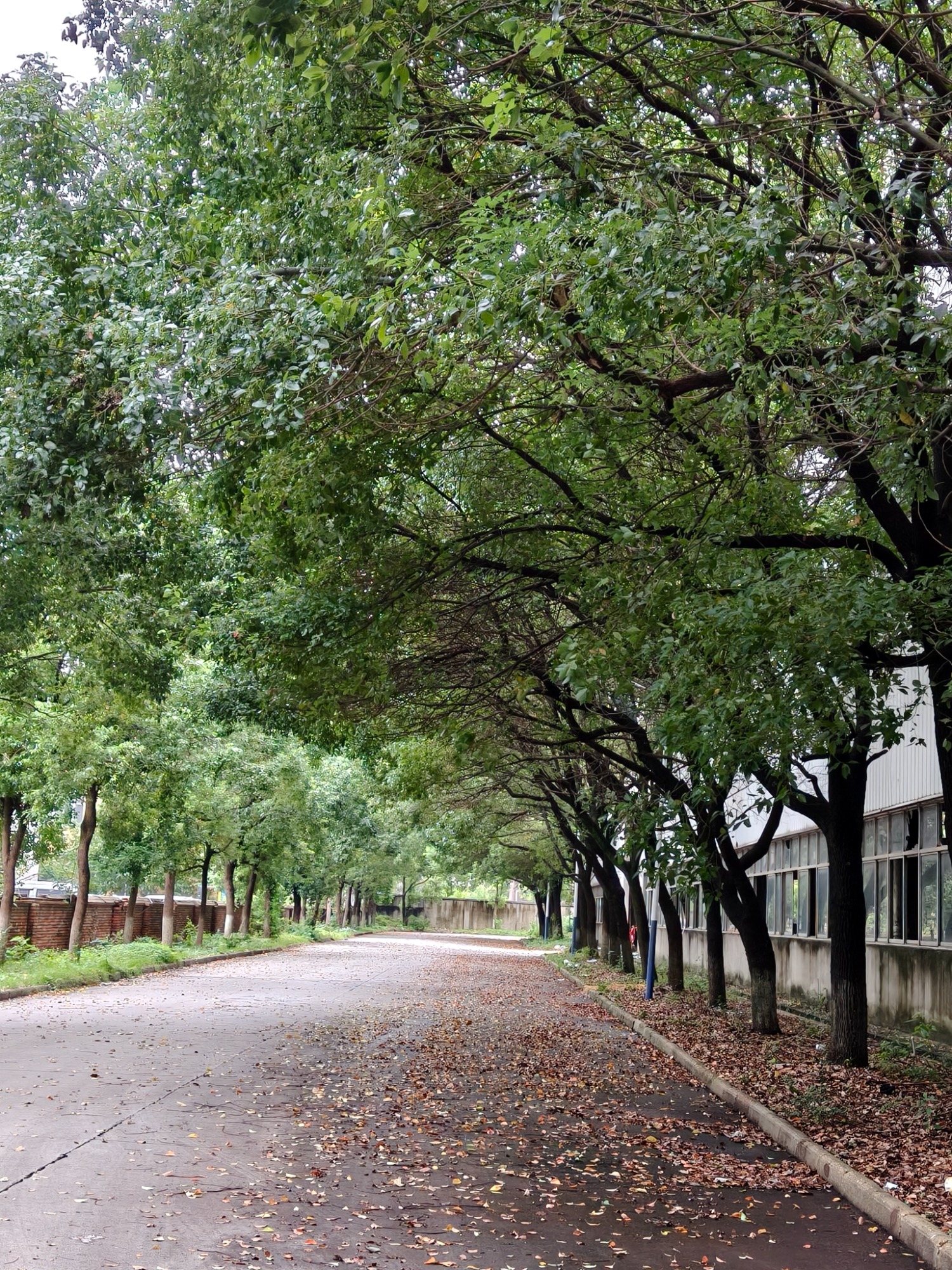 C型钢仓储备货实景