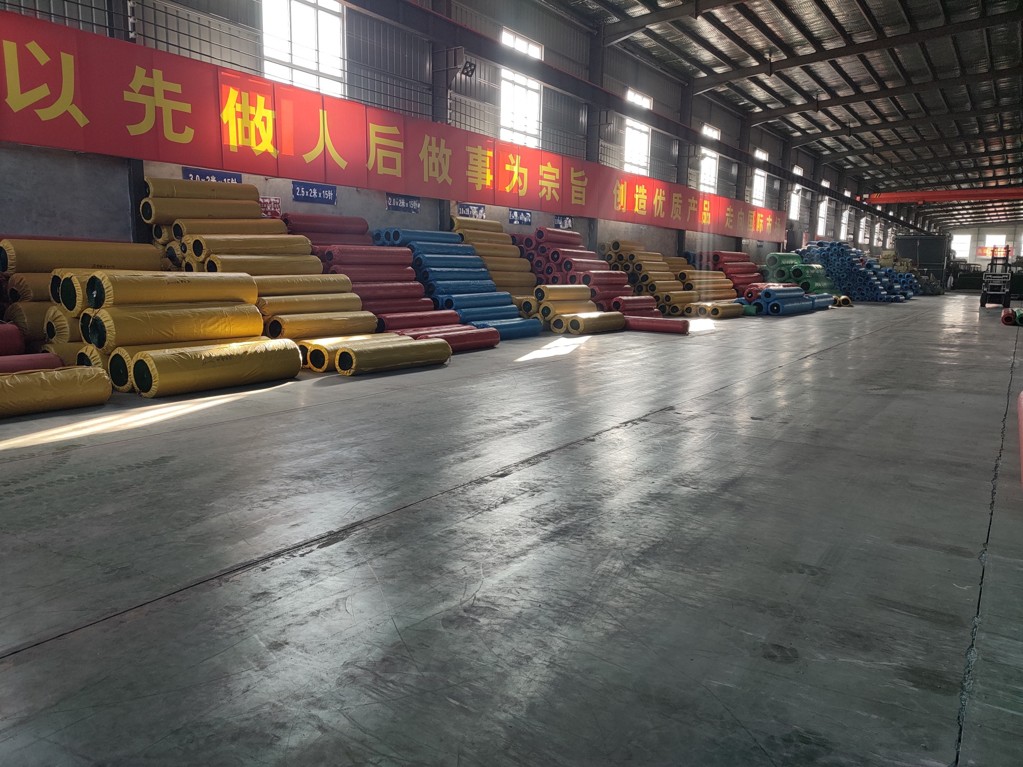 地毯草生产车间实拍