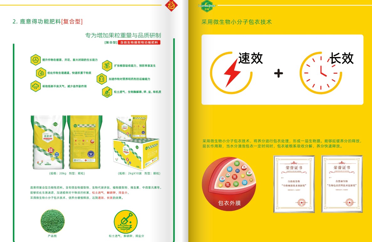 产品结构示意