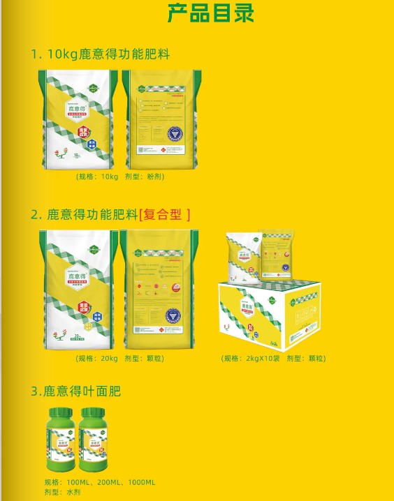产品与生产线实景
