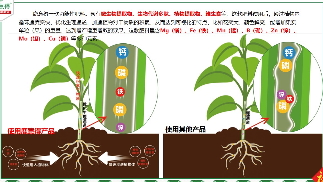 企业智能灌装产线