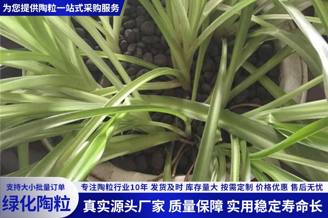 绿化陶粒应用场景