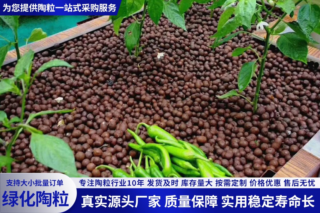 陶粒实物细节