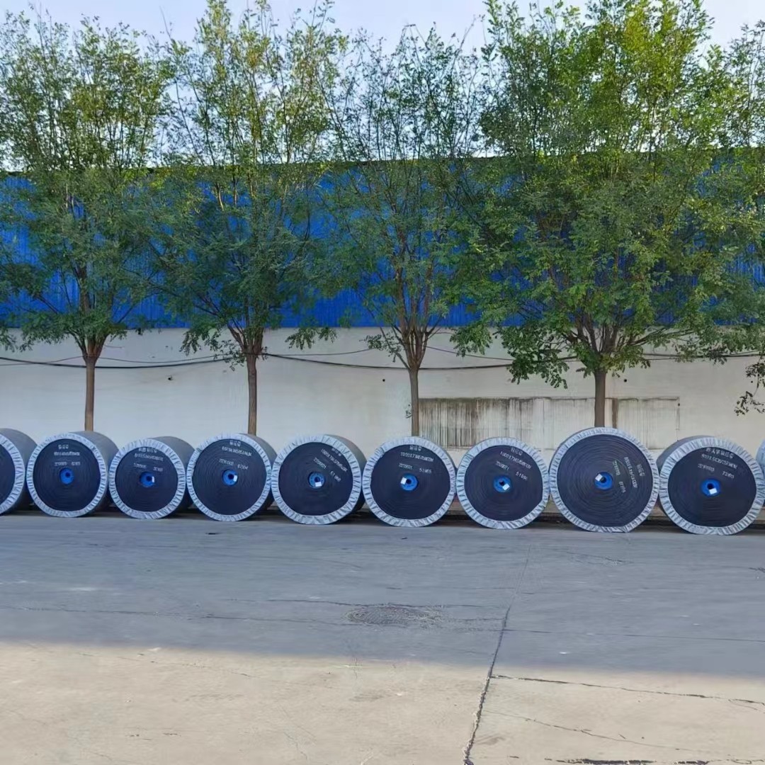 定制输送带实景图