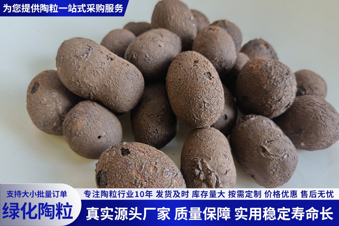 陶粒实物展示