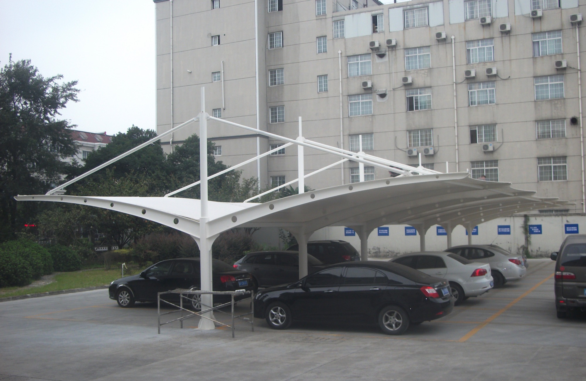 膜结构工程施工实景