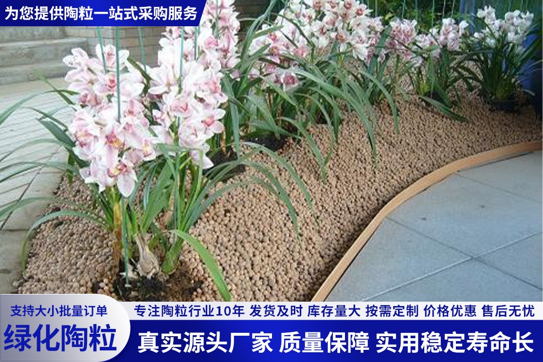 水培绿化陶粒实物展示