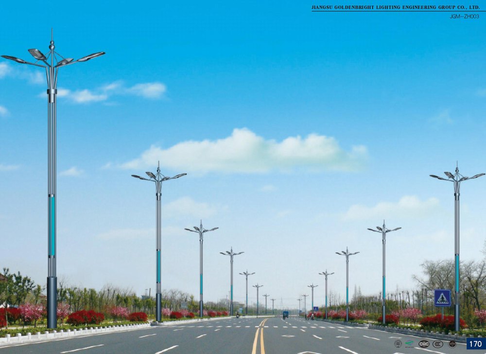 城市道路玉兰灯实景展示