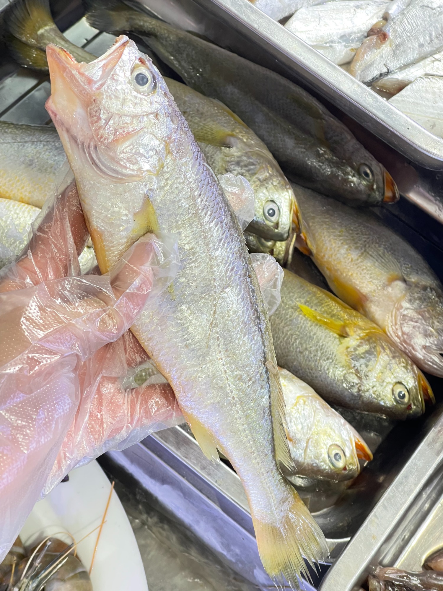 Seafood Market Scene