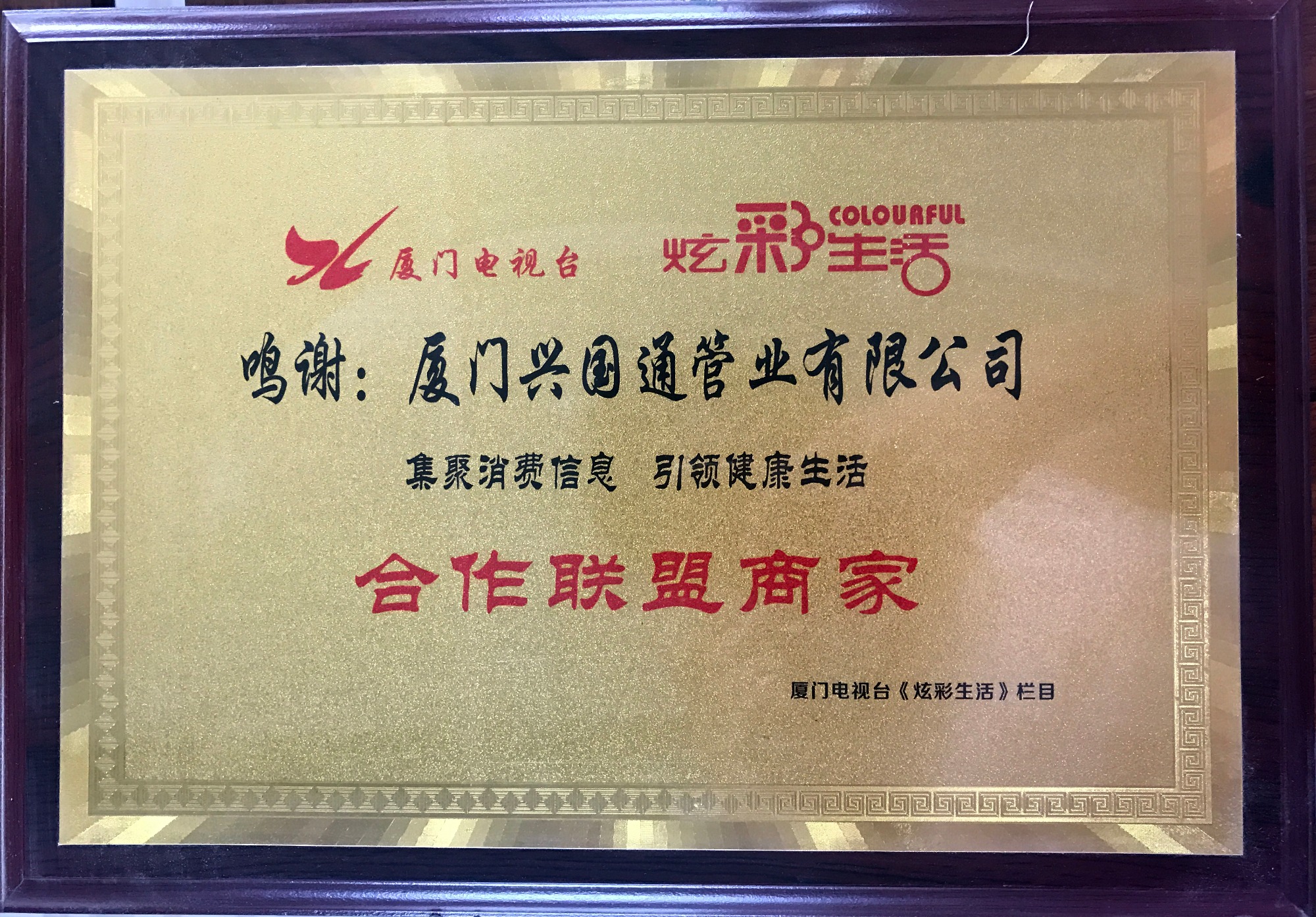 市政管道铺设实景