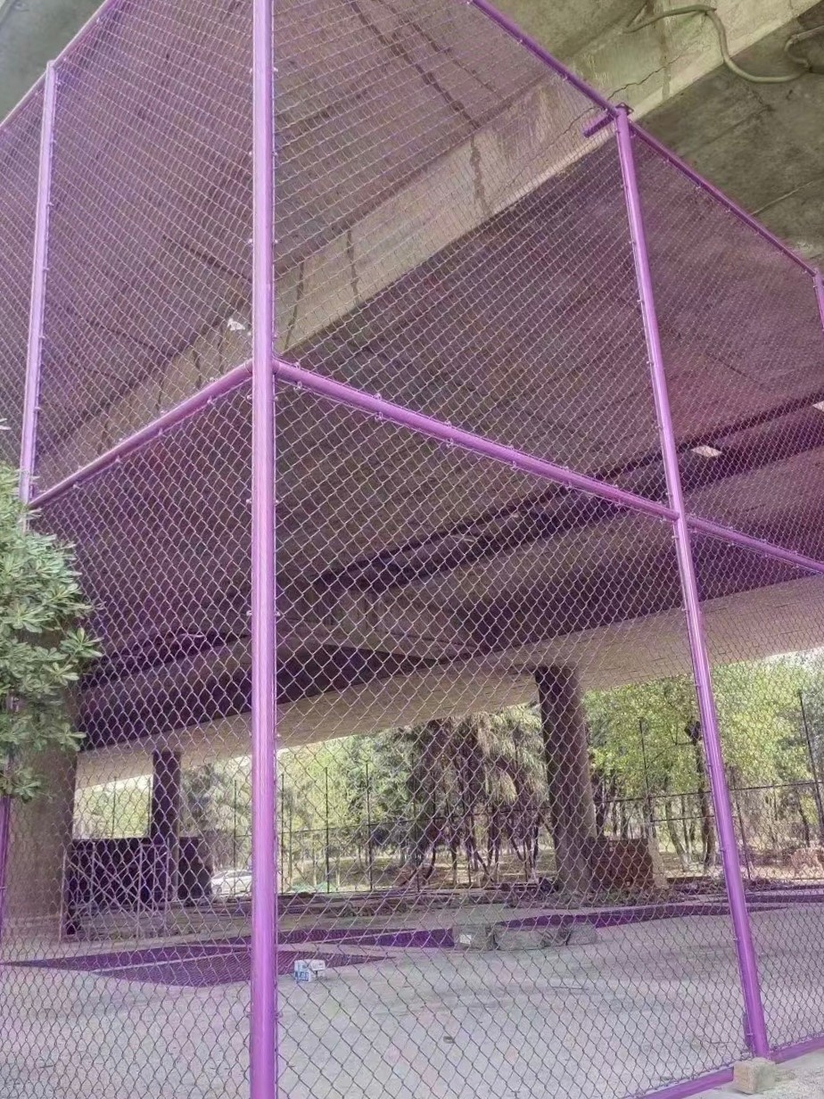 体育场地防护网实景应用