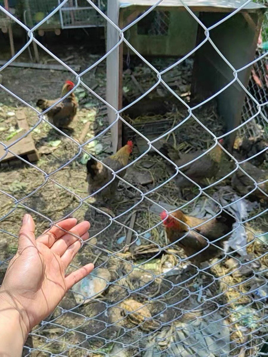 养殖网应用场景