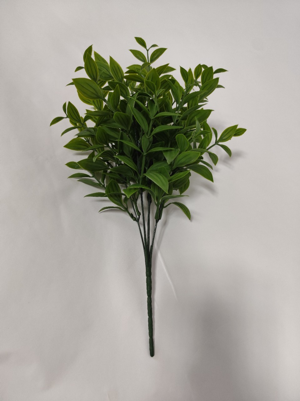 波斯草绿植展示