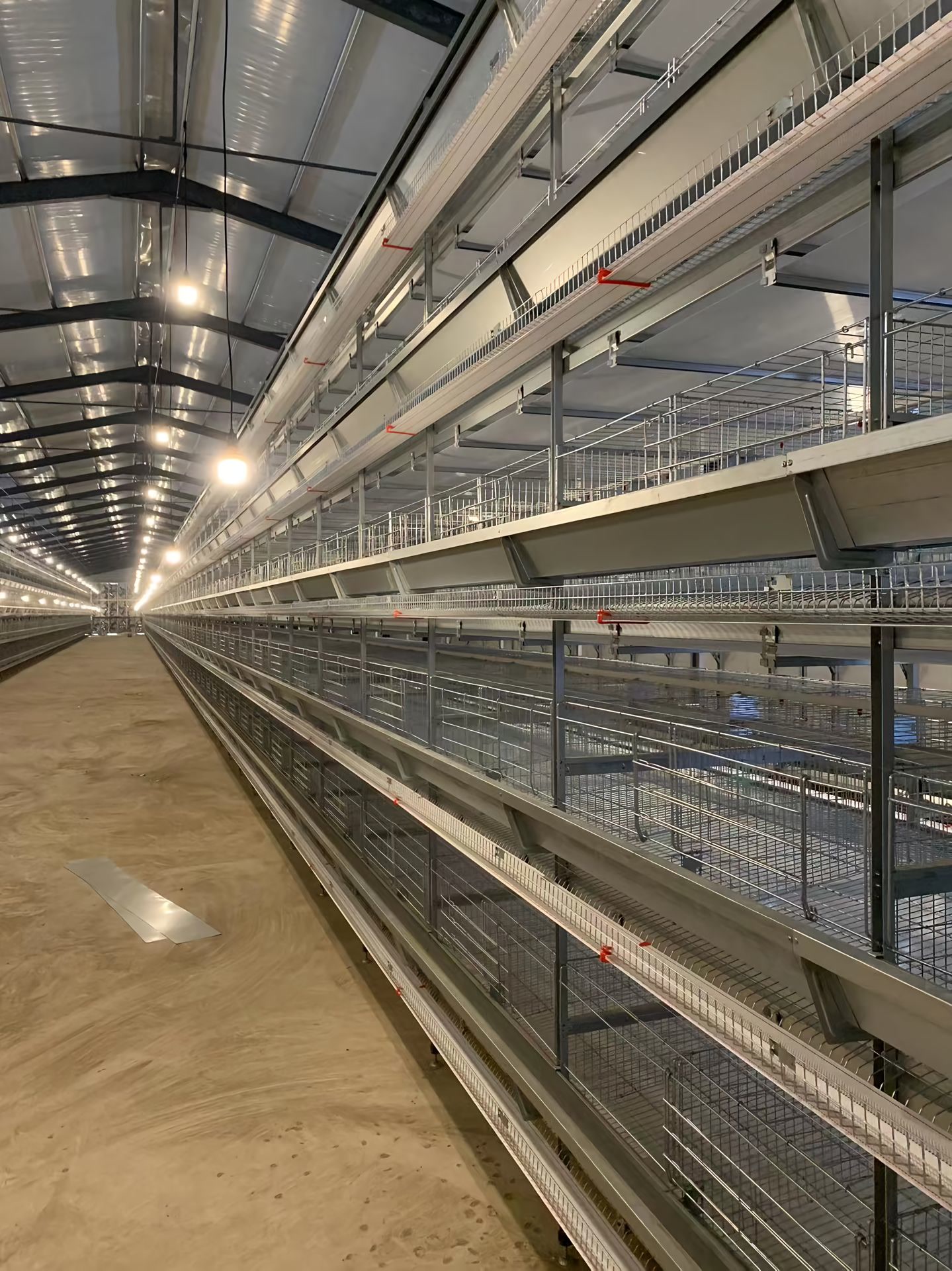 蛋鸡笼自动化产线实景