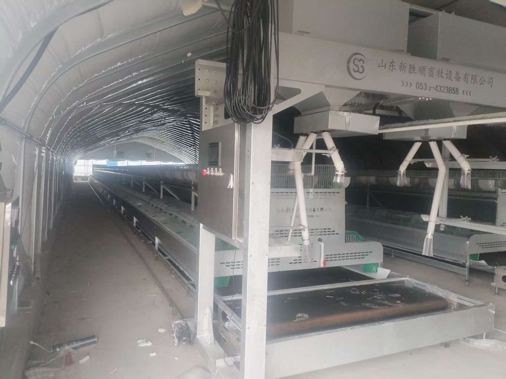 自动化喂料设备运行实景