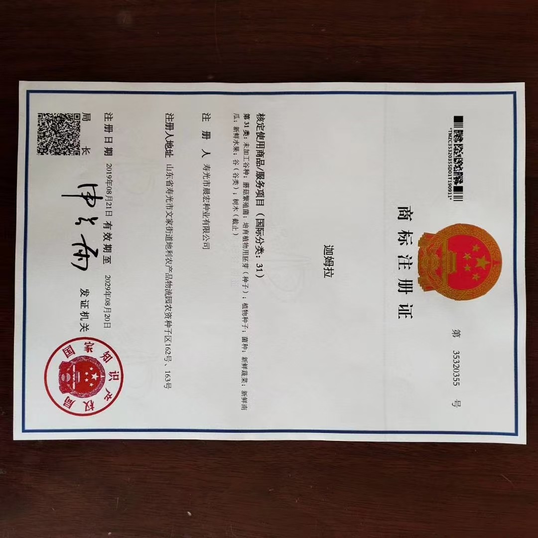 蔬菜种子生产基地