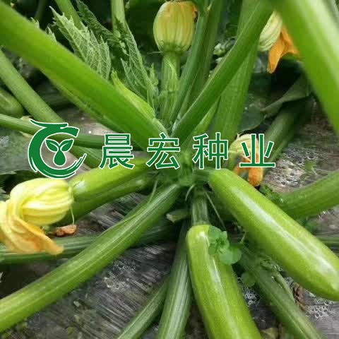 行业应用场景