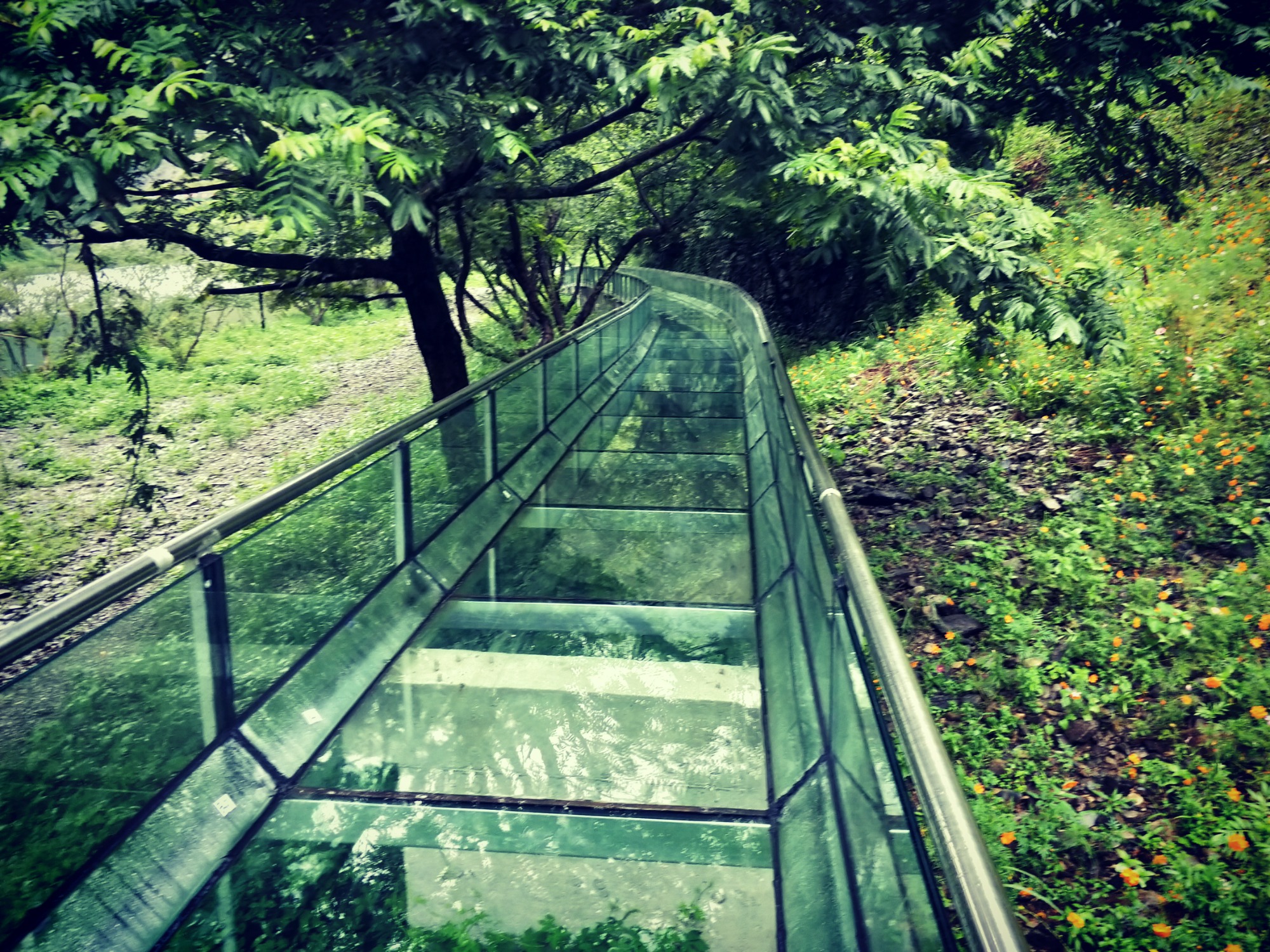 草原轨道滑草项目实景