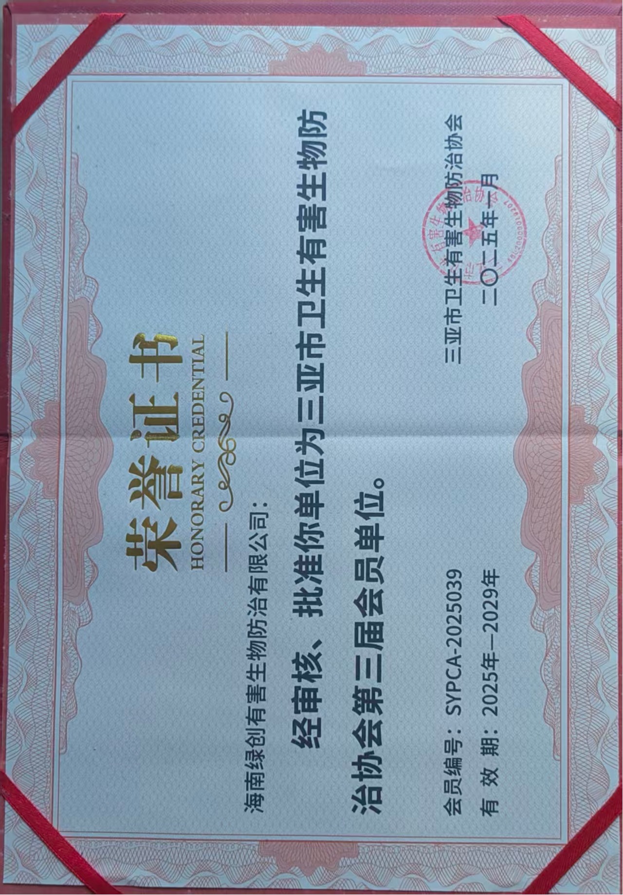 白蚁**现场作业示例