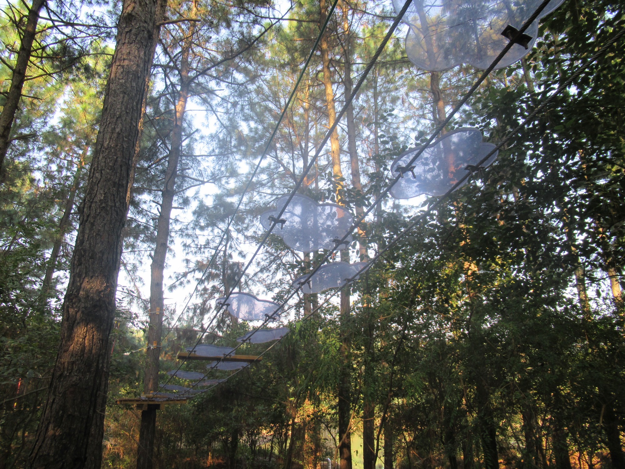 轨道滑草项目实景