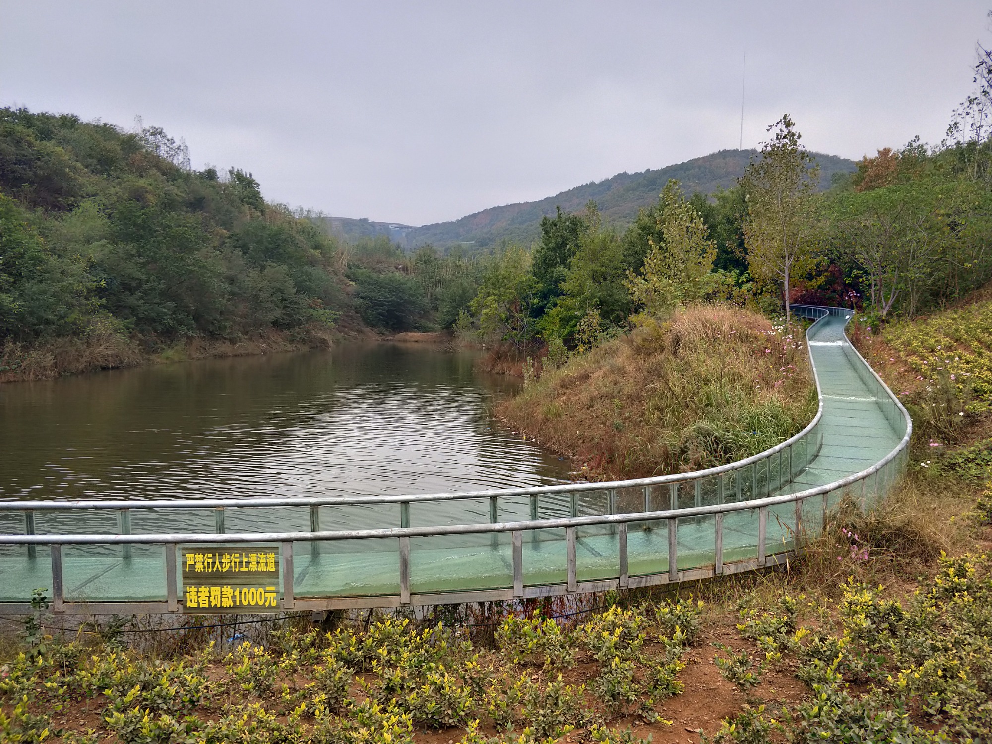 轨道滑草设备实景