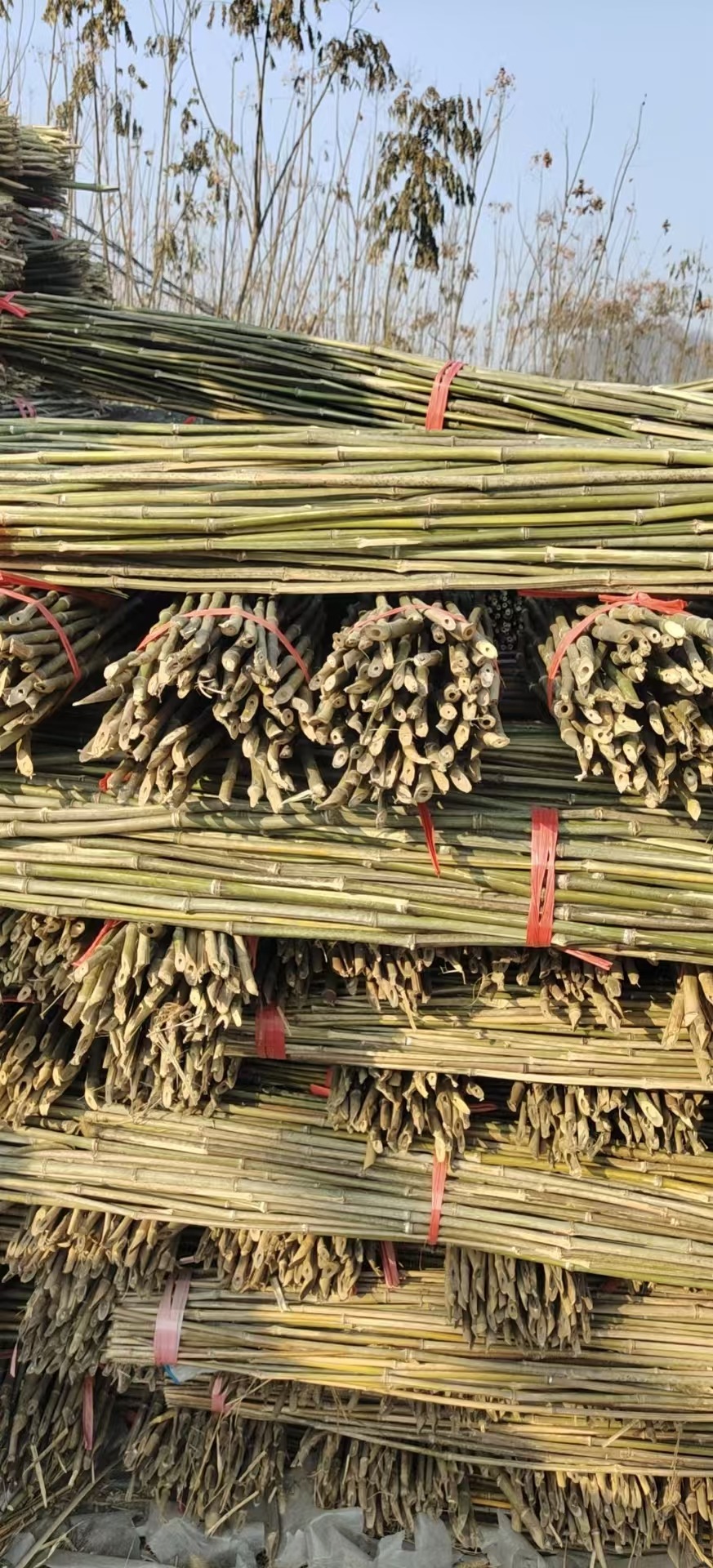 竹杆产品展示与应用场景