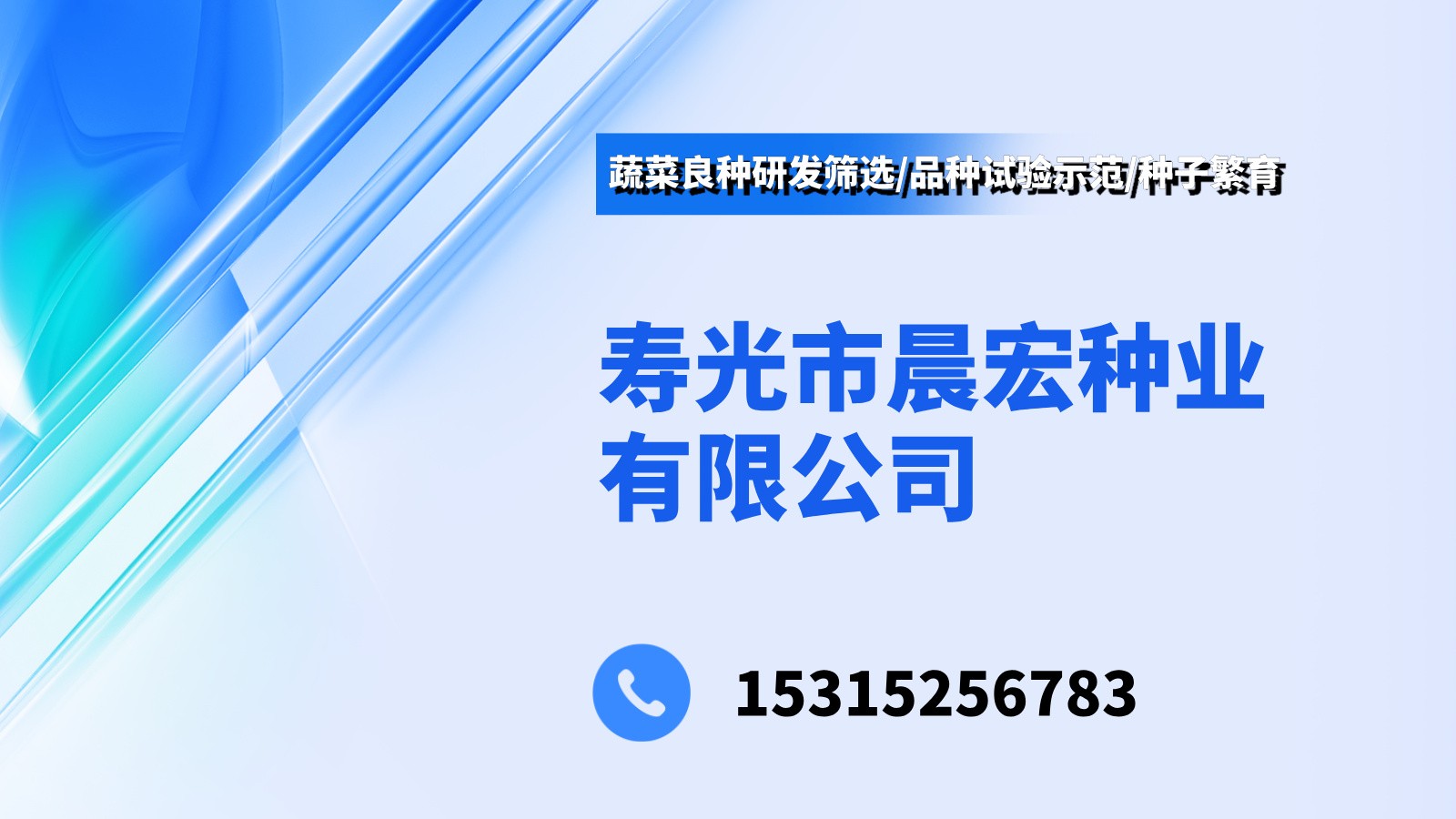西红柿种子试验田实景