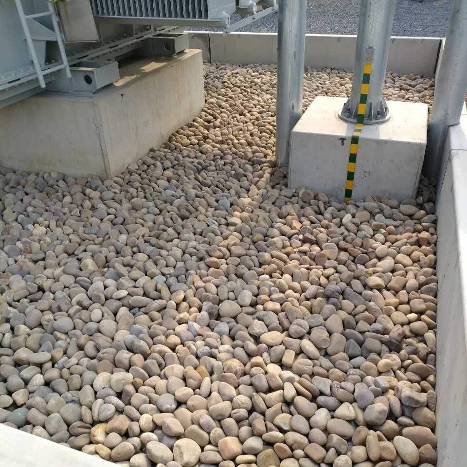 加工生产线实景图