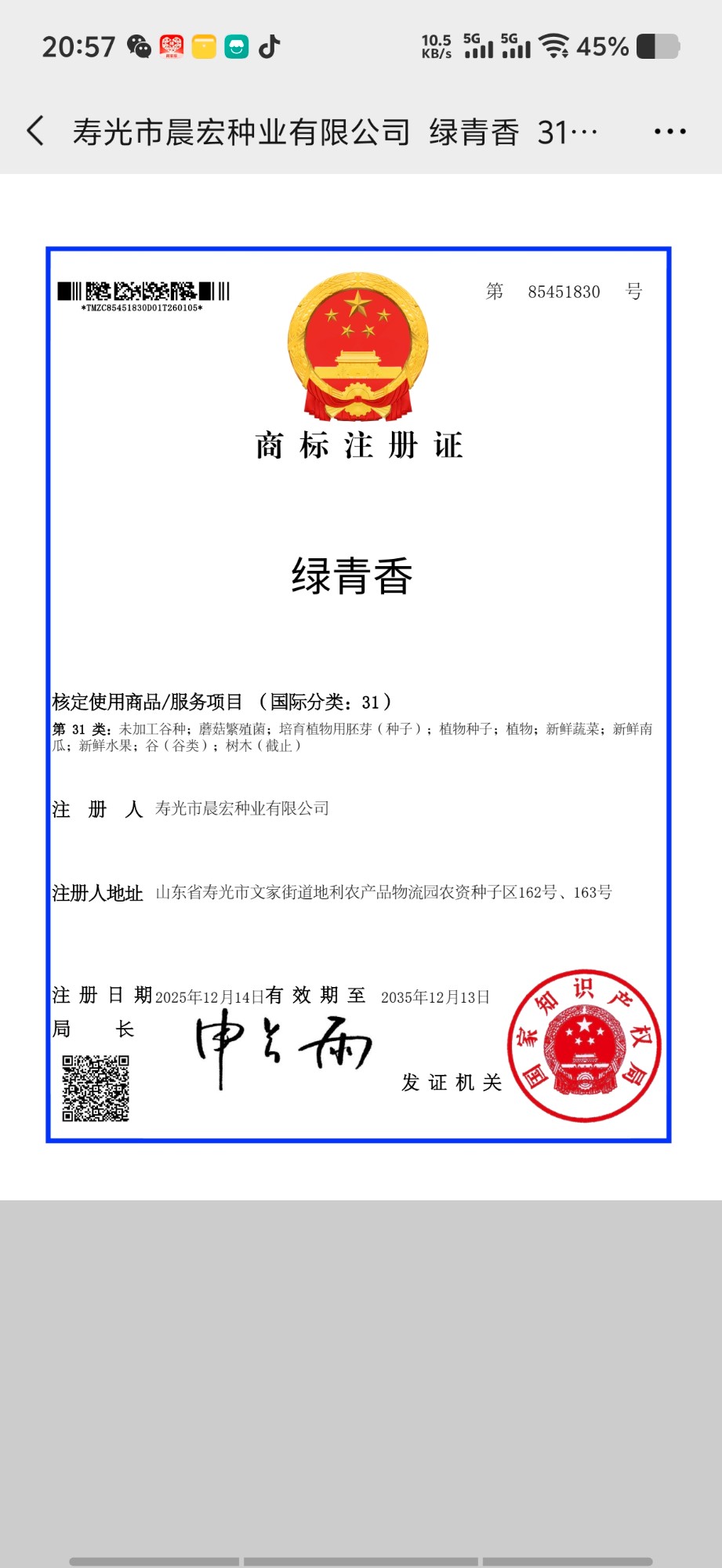 西红柿种子实景