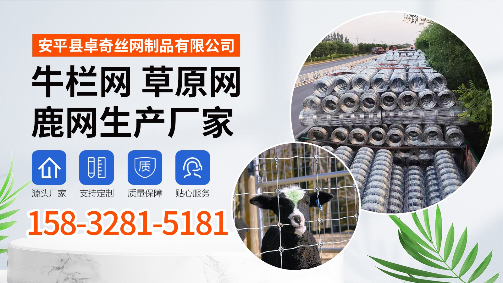 牛栏网实物展示