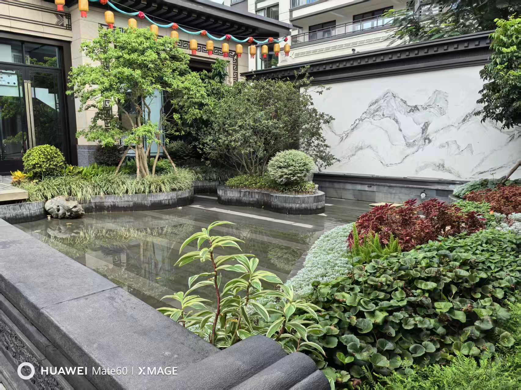 别墅泳池项目施工实景