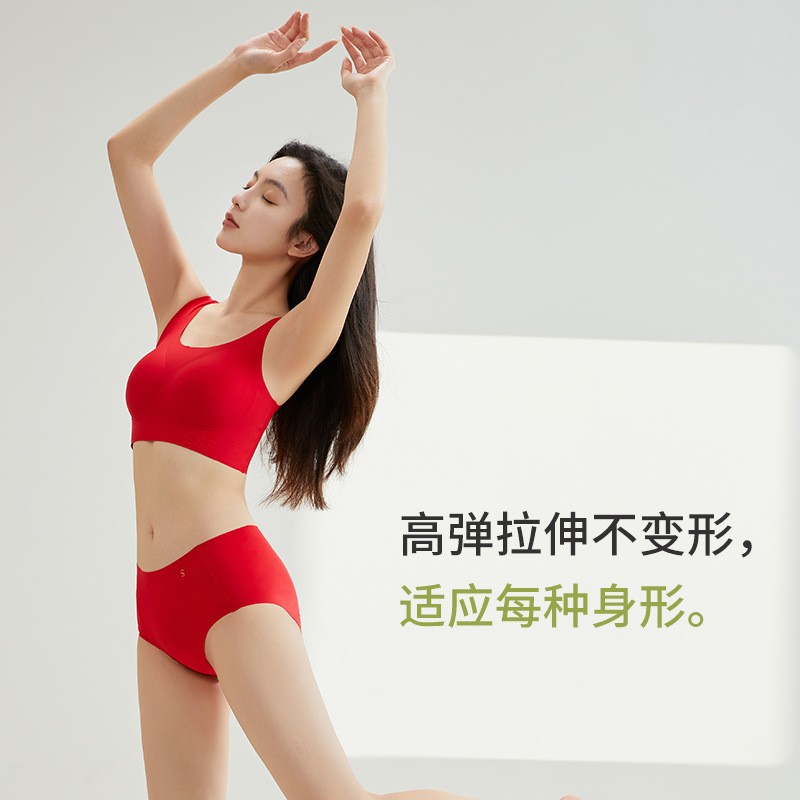 产品结构示意
