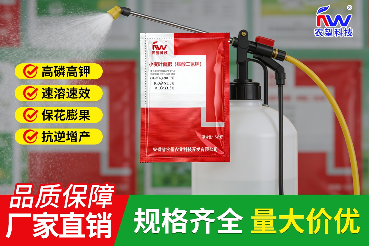 硼肥生产工艺示意