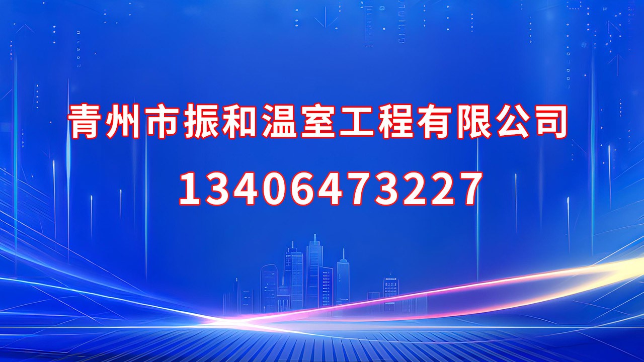 连栋温室工程实拍