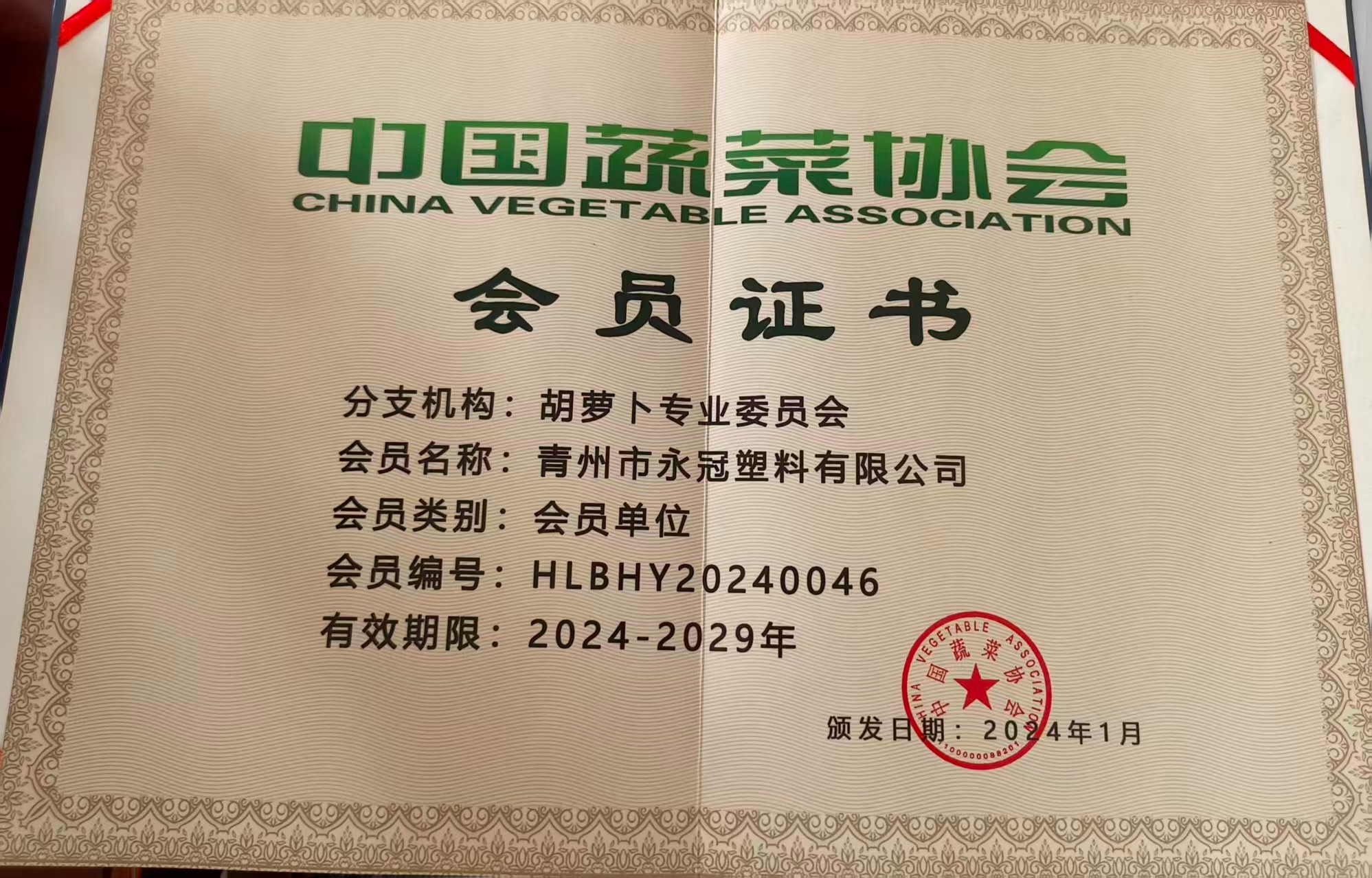 packaging film