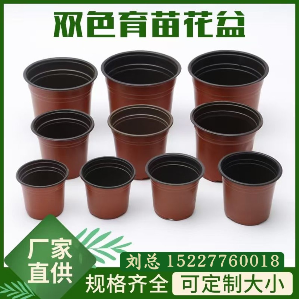 育苗容器实物展示