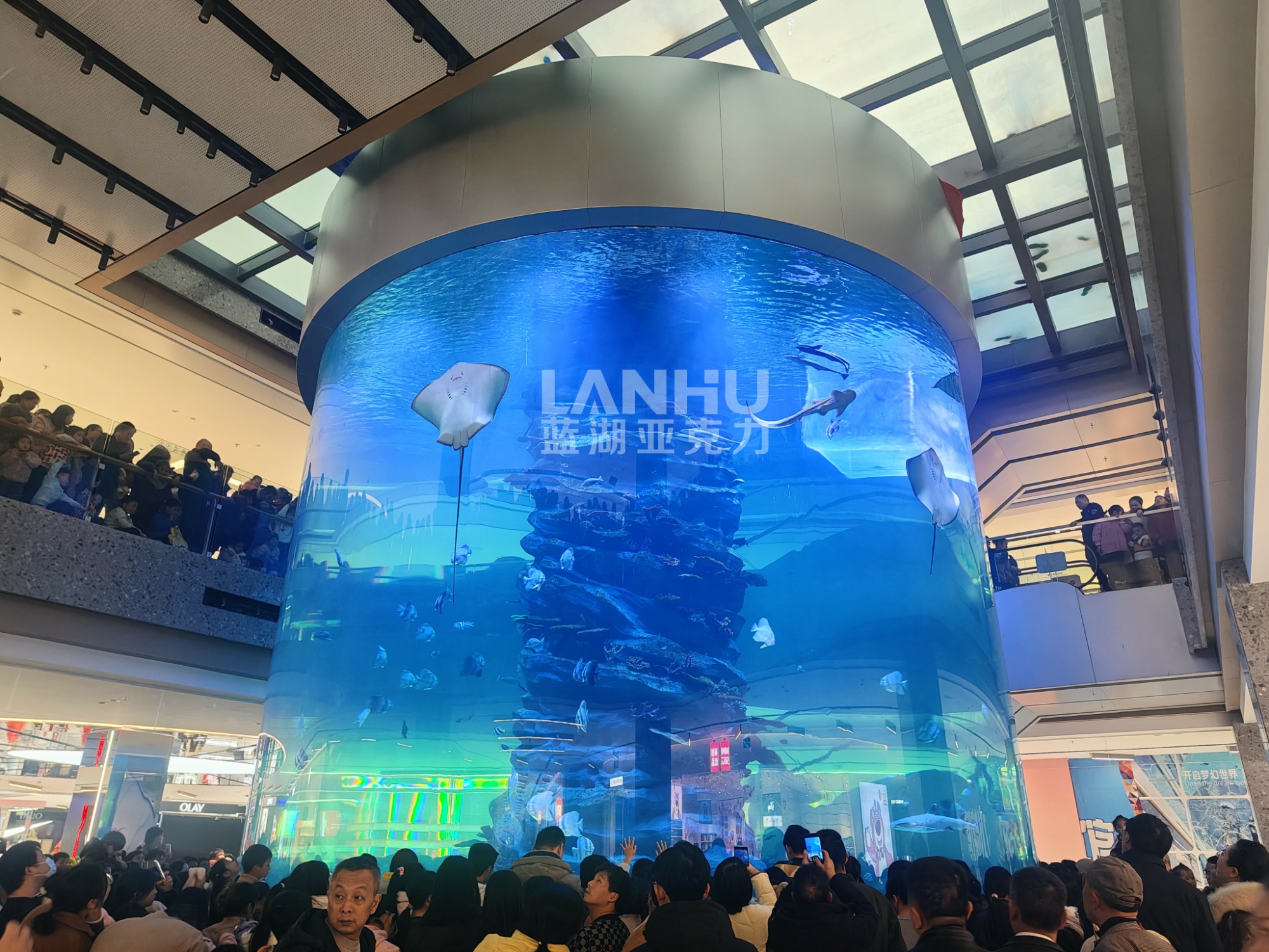 广东别墅客厅鱼缸定制实拍