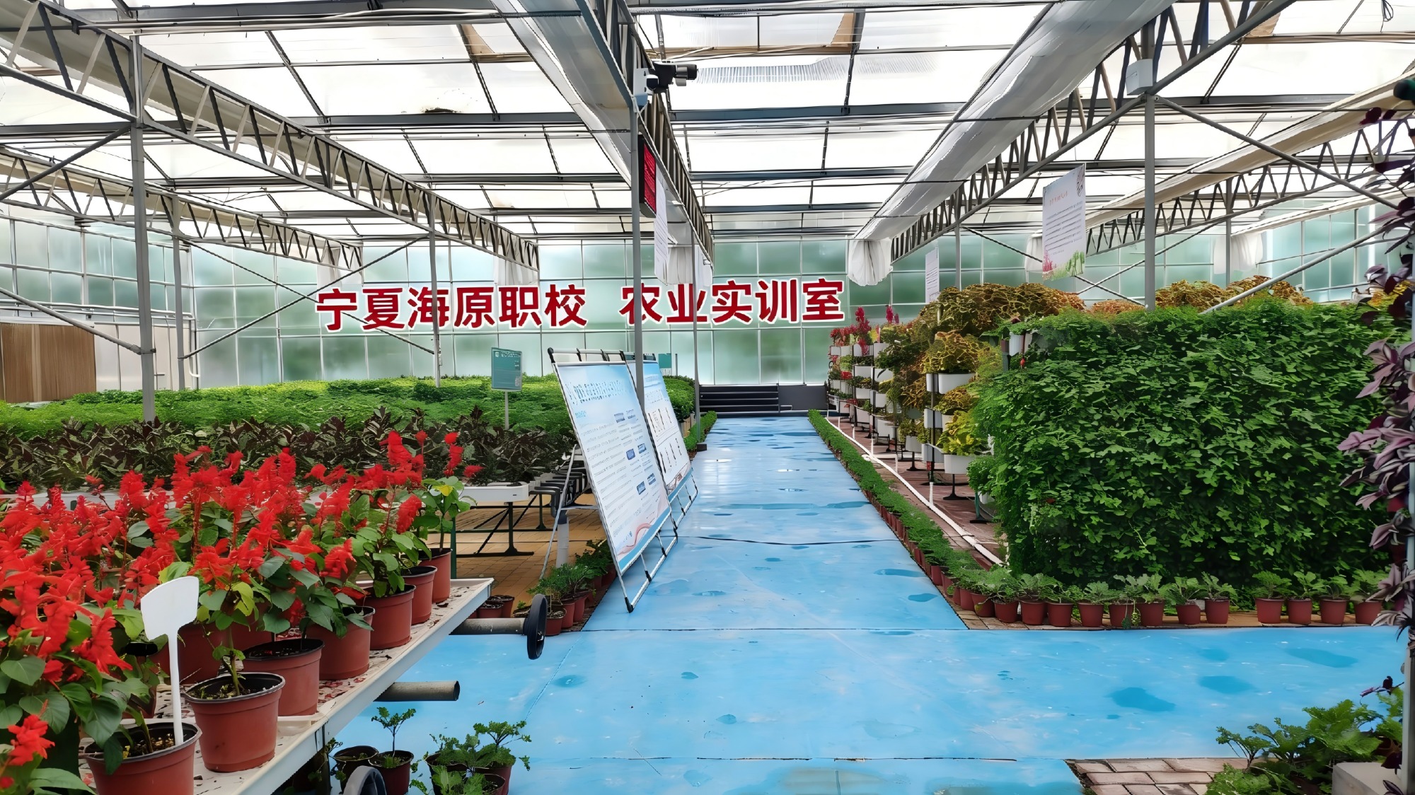 NFT水培栽培床实物图