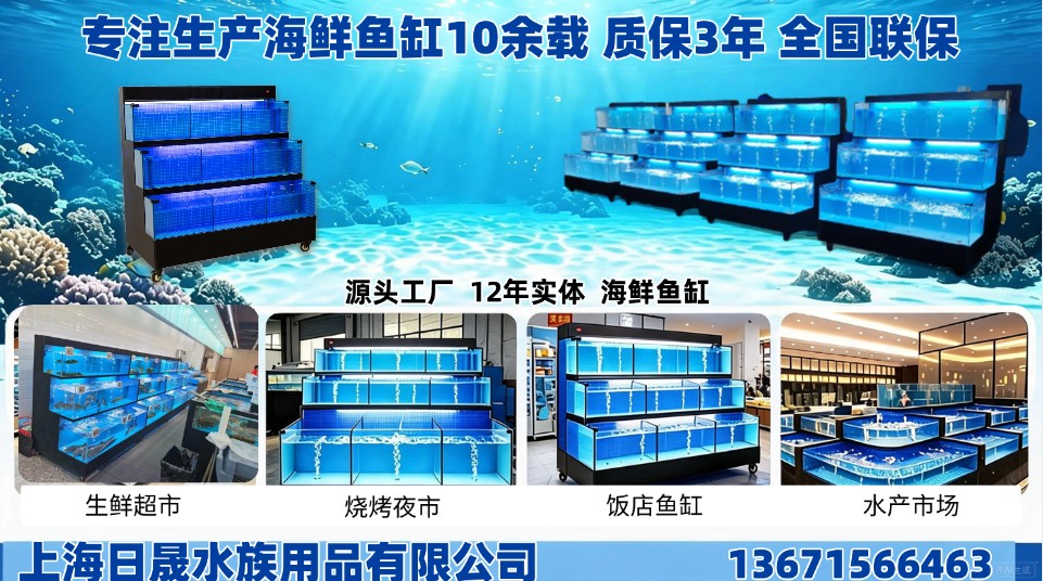 上海商用海鲜缸定制车间实拍