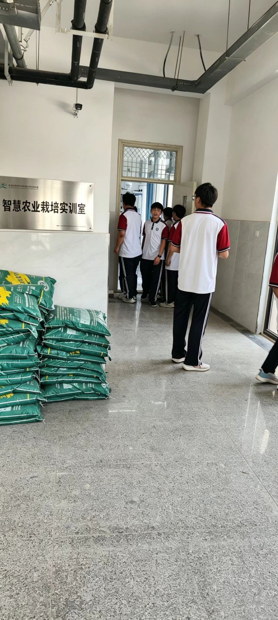 NFT循环水培立体栽培床实景图