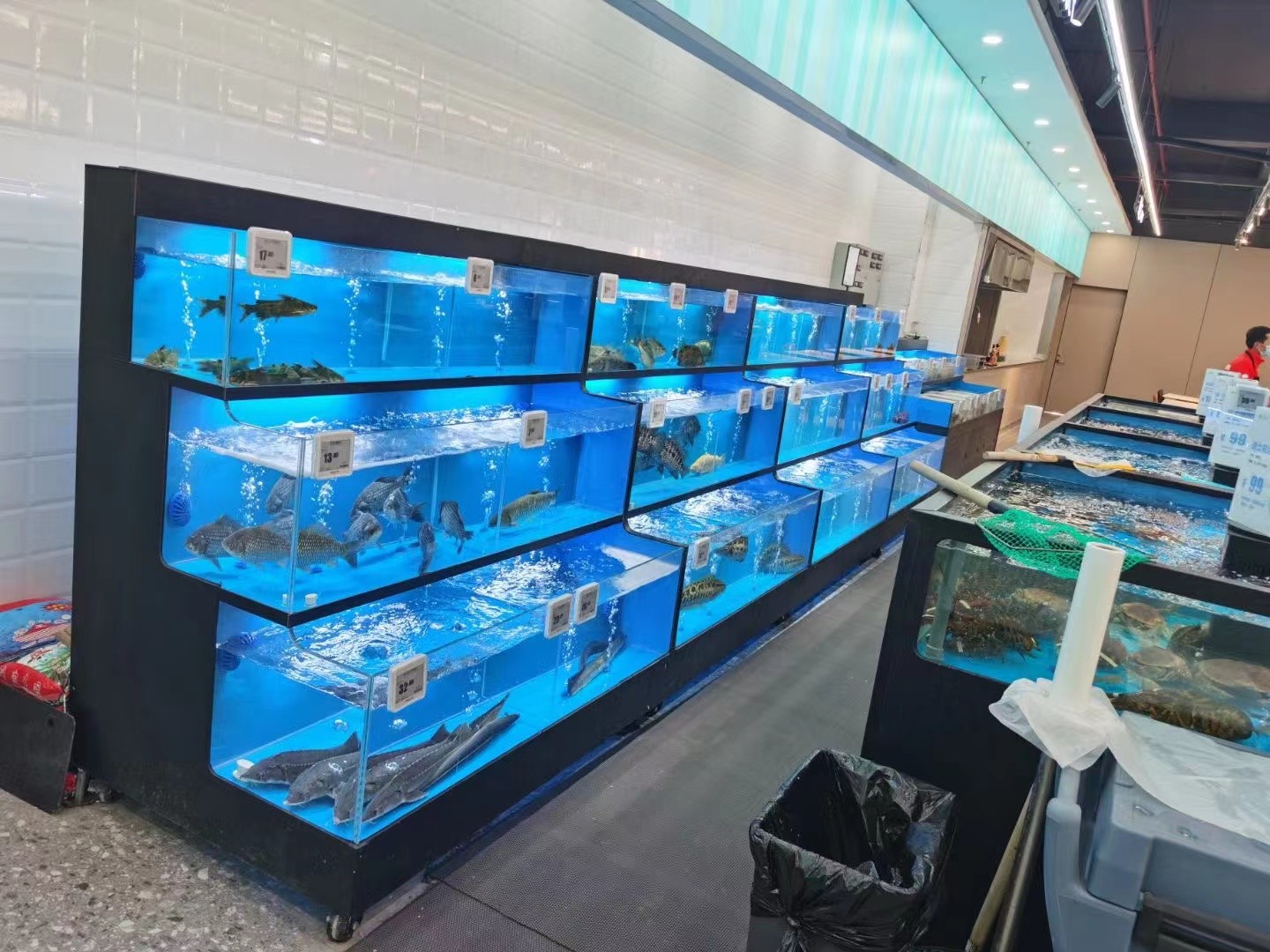 海鲜鱼缸工程定制现场