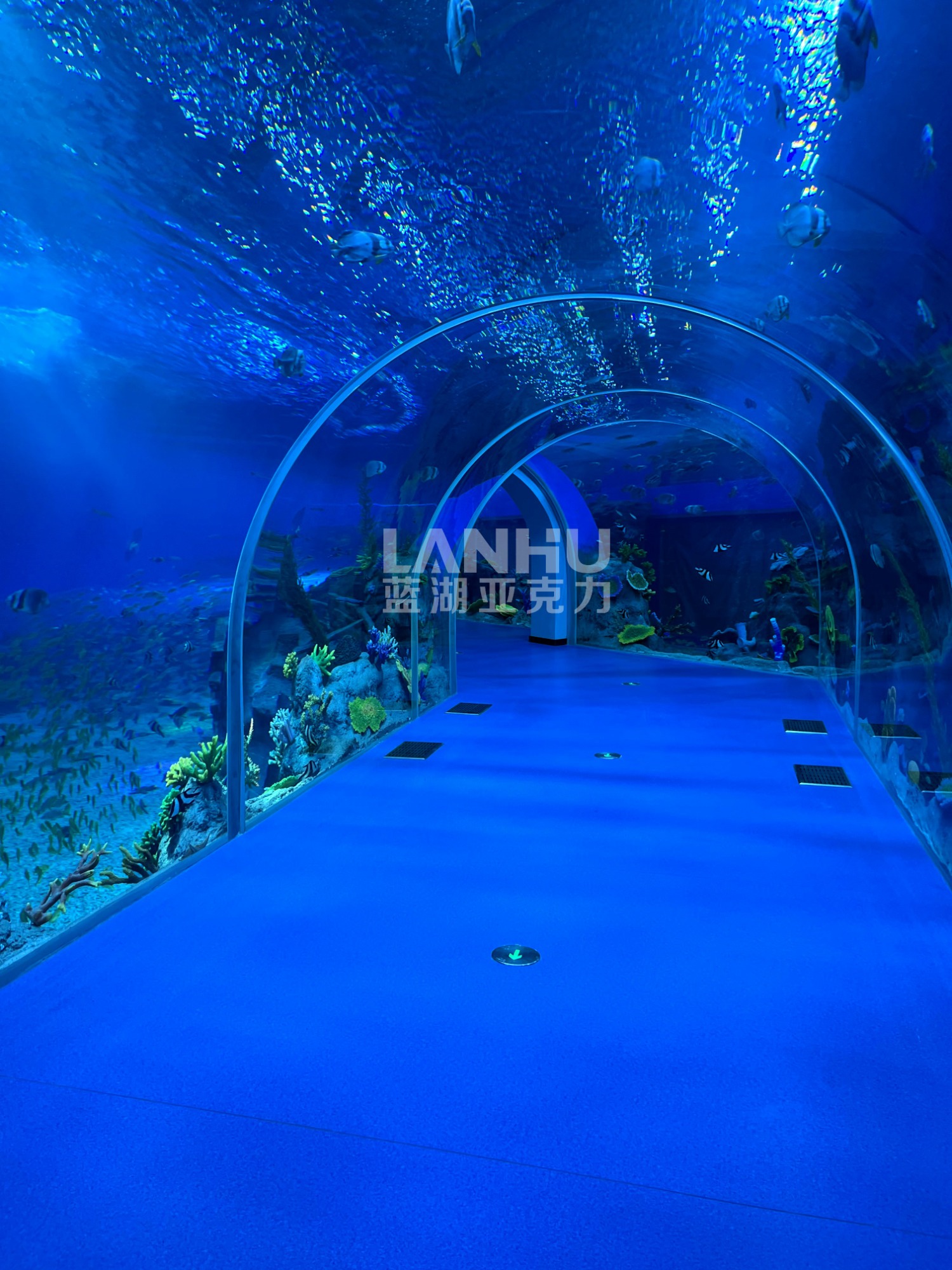 custom aquarium spiral staircase