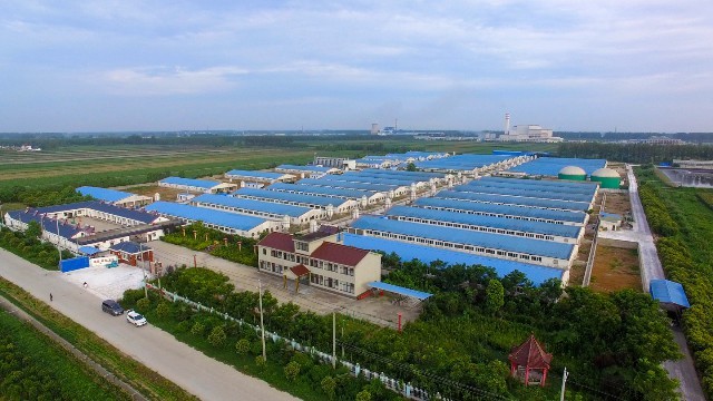 母猪料生产实景