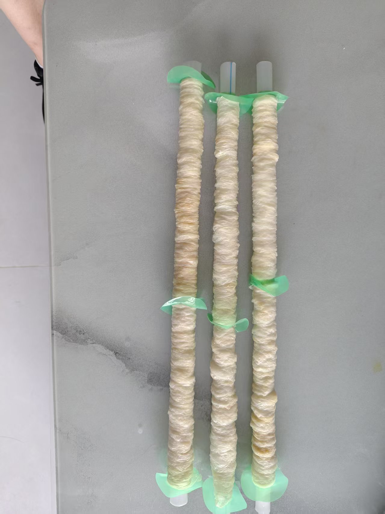 肠衣标准化生产车间实景