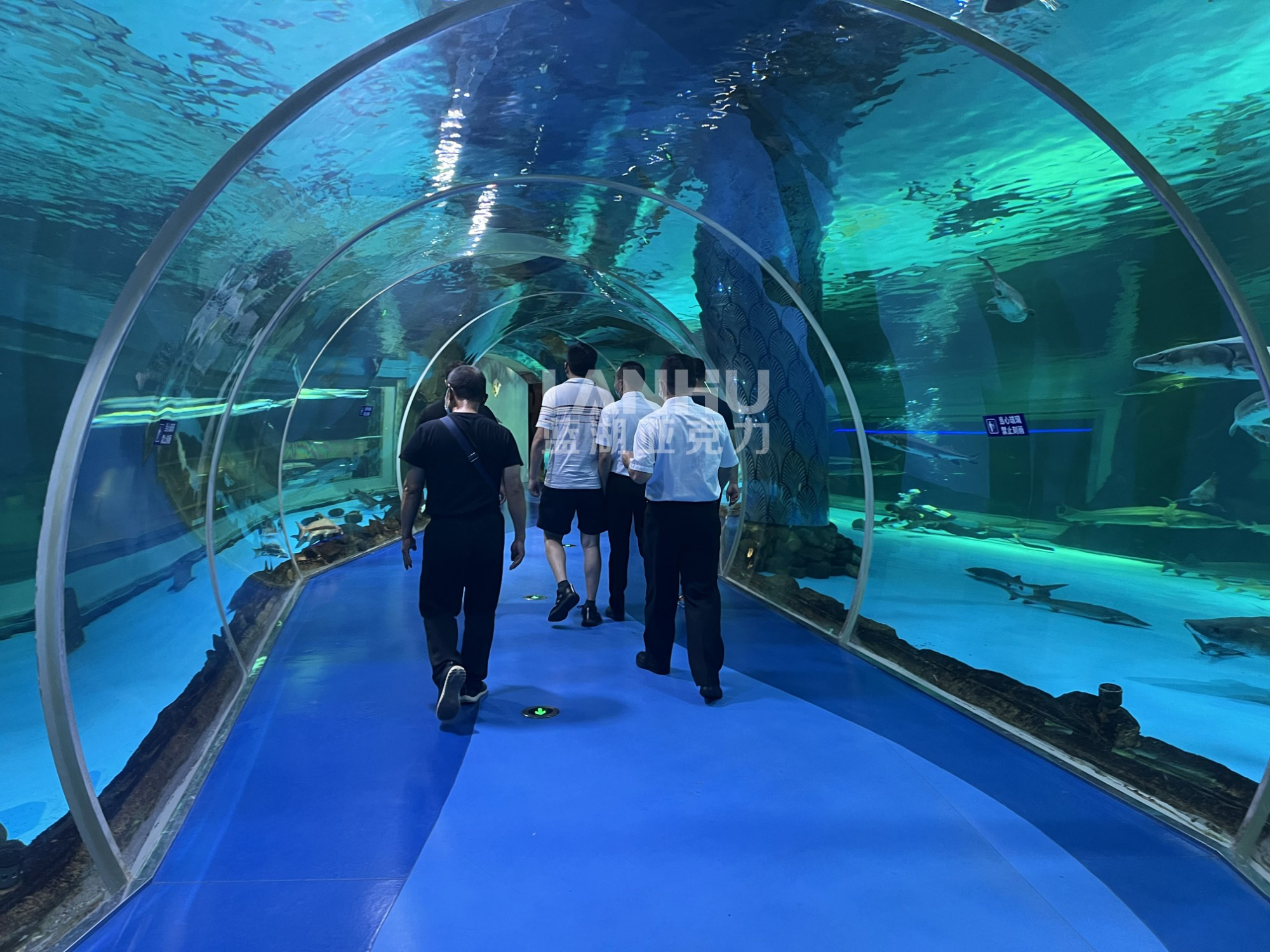 海洋馆水景工程实景