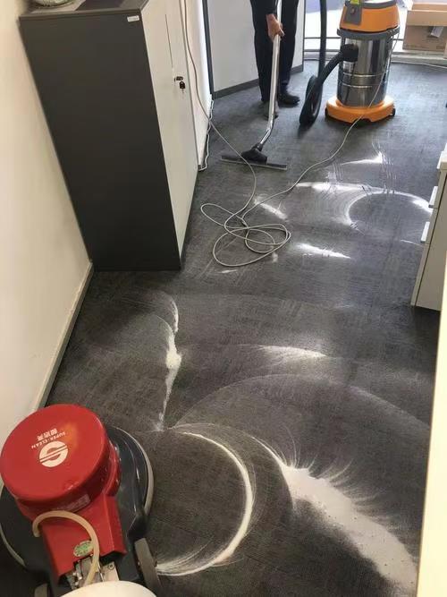 Professional Cleaning Service