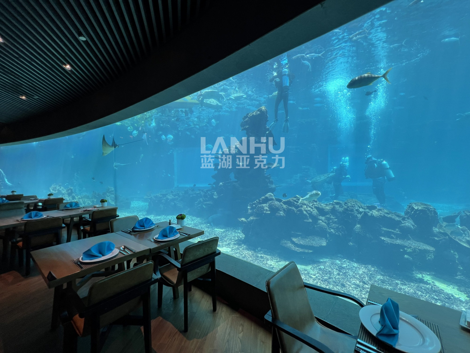 水族工程案例实景