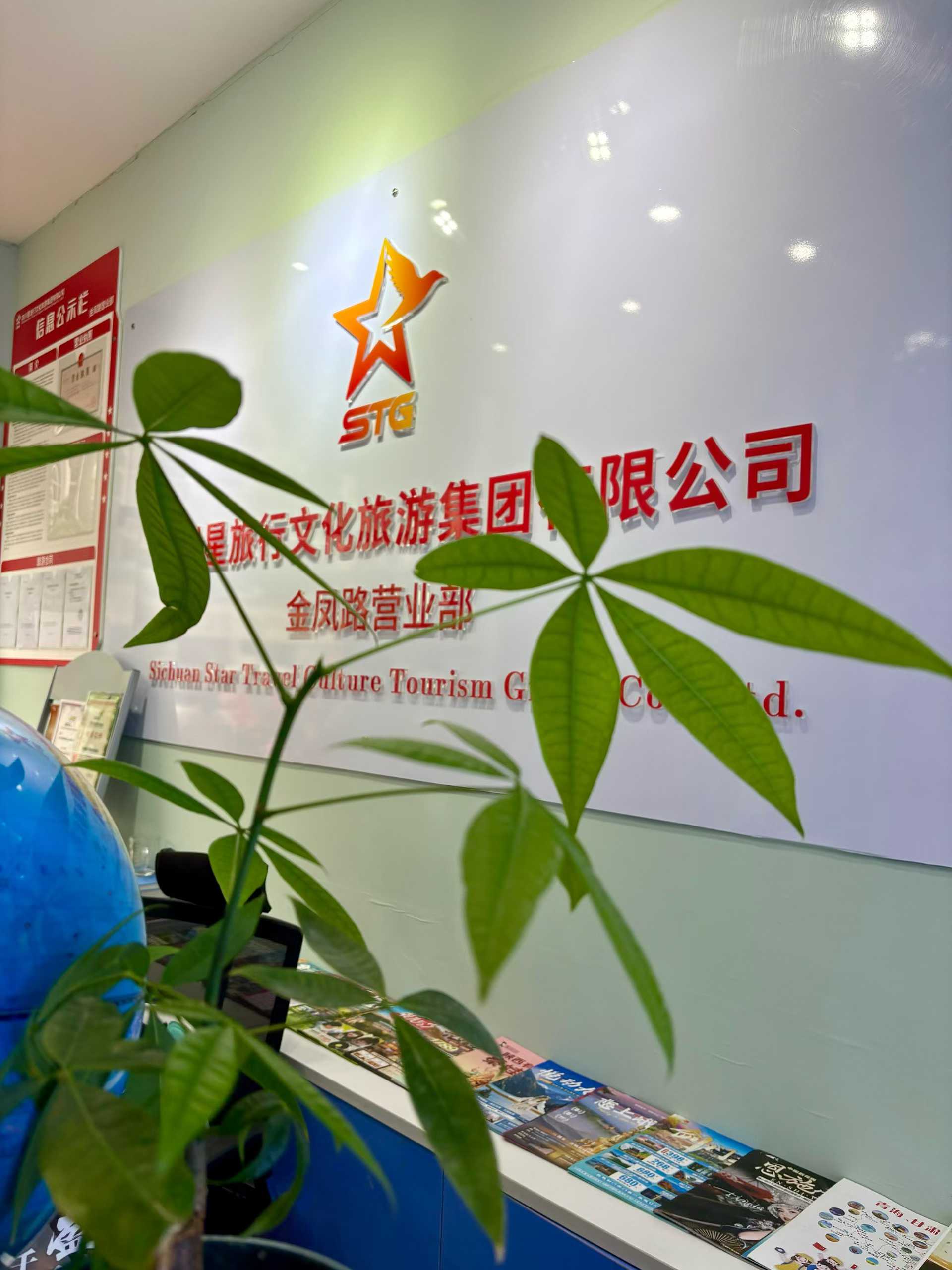 Travel Agency Service