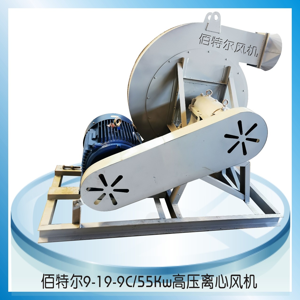 实拍图